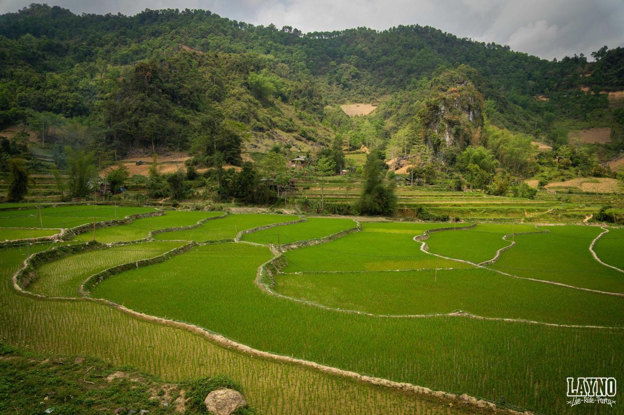 Quiri Hostel Ha Giang Lang Lap Eksteriør bilde